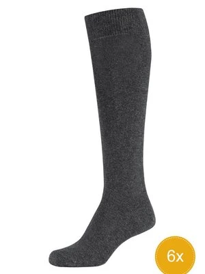 Podkolanówki s.Oliver