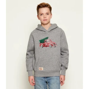 POLO RALPH LAUREN Bluza | Regular Fit