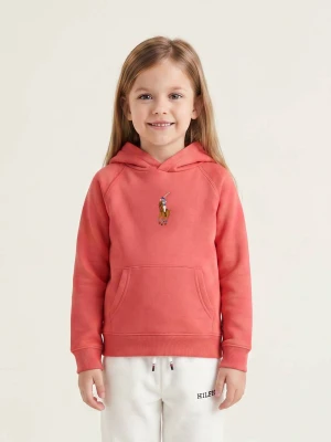 POLO RALPH LAUREN Bluza | Regular Fit
