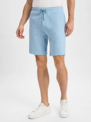Polo Ralph Lauren Męskie szorty dresowe Mężczyźni niebieski jednolity,