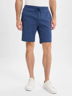 Polo Ralph Lauren Męskie szorty dresowe Mężczyźni niebieski jednolity,