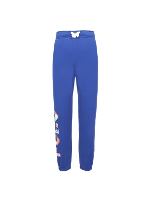 POLO RALPH LAUREN Spodnie dresowe ATHLETIC | Regular Fit