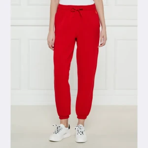 POLO RALPH LAUREN Spodnie dresowe LUNAR | Regular Fit