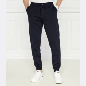 POLO RALPH LAUREN Spodnie dresowe | Regular Fit
