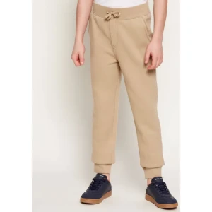 POLO RALPH LAUREN Spodnie dresowe | Regular Fit