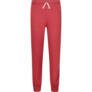 POLO RALPH LAUREN Spodnie dresowe | Regular Fit