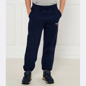 POLO RALPH LAUREN Spodnie jogger | Regular Fit