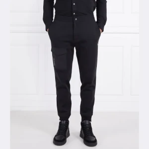 POLO RALPH LAUREN Spodnie | Regular Fit