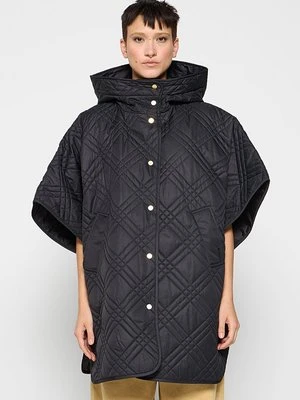 Ponczo Barbour