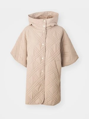Ponczo Barbour