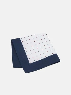 Poszetka Selected Homme