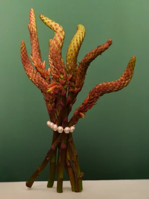 Pozłacana bransoletka z pereł TARANKO