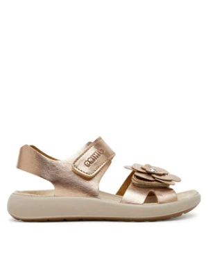 Primigi Sandały 7898622 M Złoty