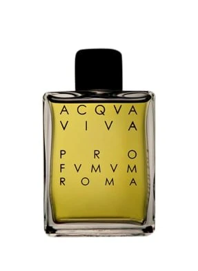 Pro Fvmvm Roma Acqva Viva