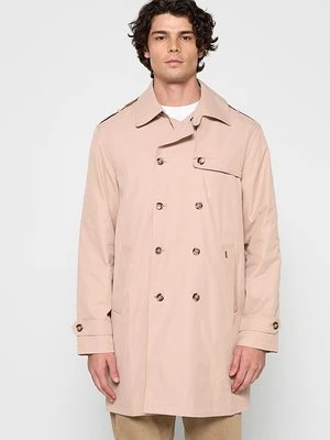 Prochowiec dreimaster