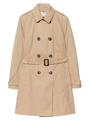 Prochowiec Stradivarius