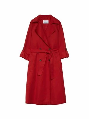 Prochowiec Stradivarius