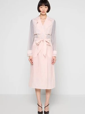 Prochowiec Ted Baker