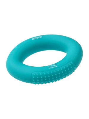 Przyrząd do ćwiczeń Y&amp;Y Vertical Climbing Ring 25 kg - blue