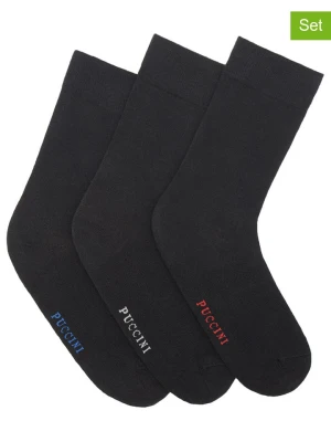 Puccini Skarpety (3 pary) w kolorze czarnym rozmiar: 39-42