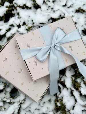 Pudełko prezentowe 01 (choinki) Gabriella