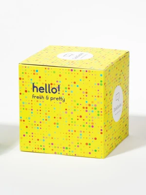 Pudełko prezentowe DDTS9-UX-004-Y Pako Lorente