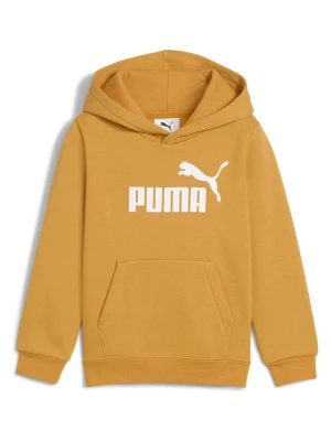Puma Bluza w kolorze musztardowym rozmiar: 104