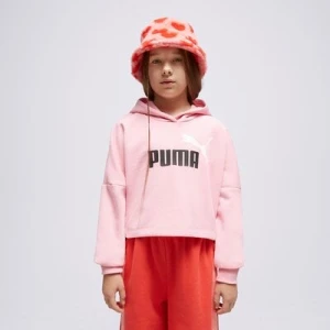 Puma Bluza Z Kapturem (G)Crp Hd