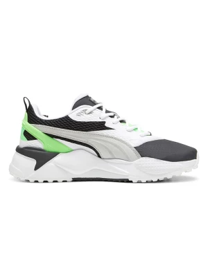 Puma Buty "GS-X Efekt" w kolorze zielono-czarno-białym do golfa rozmiar: 40,5