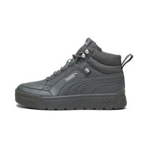 PUMA Buty Tarrenz SB III, Buty, Szary,