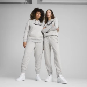 PUMA Damskie spodnie dresowe Essentials z małym logo No. 1, Odzież, Szary,