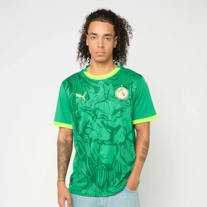 PUMA FIF Home Jersey Replica mężczyźni Jerseys zielony rozmiar Odzież