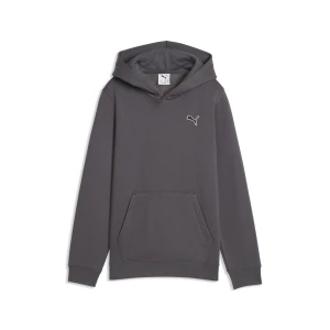 PUMA Młodzieżowa bluza z kapturem Essentials Elevated, Akcesoria, Szary
