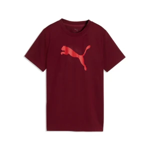 PUMA MÅ‚odzieÅ¼owa koszulka Train All Day Essentials z logo Cat, Akcesoria, Czerwony