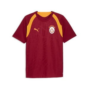 PUMA MÄ™ska dopasowana koszulka treningowa Galatasaray .K., Akcesoria, Czerwony