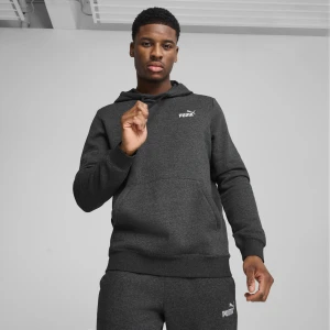 Zdjęcie produktu PUMA Męska bluza z kapturem Essentials z małym logo No. 1, Odzież, Szary