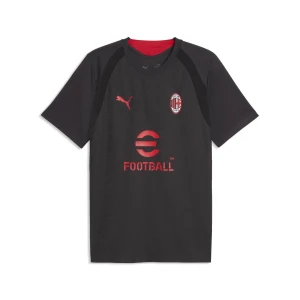 PUMA Męska koszulka treningowa AC Milan o dopasowanym kroju, Akcesoria, Szary