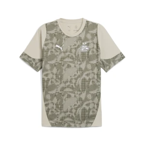 PUMA Męska koszulka treningowa PSV Eindhoven, Akcesoria, Beżowy,