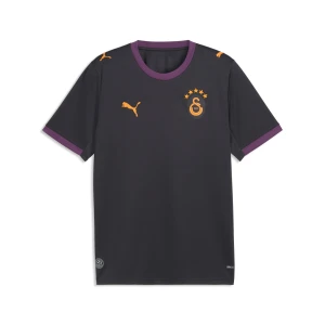 PUMA Męska koszulka wyjazdowa Galatasaray .K. 26/27, Akcesoria, Szary