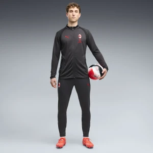 PUMA Męskie spodnie treningowe reprezentacji AC Milan, Odzież, Szary