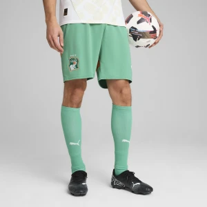 PUMA Męskie szorty Wybrzeże Kości Słoniowej 2025, Odzież, Zielony,