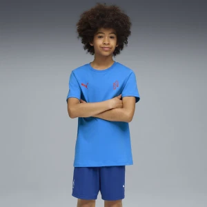PUMA Młodzieżowa koszulka piłkarska Neymar Jr Playmaker, Odzież, Niebieski,
