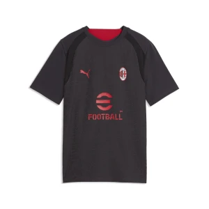 PUMA MÅ‚odzieÅ¼owa koszulka treningowa AC Milan o dopasowanym kroju, Akcesoria, Szary