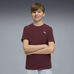 PUMA Młodzieżowa koszulka WARDROBE ESS, Odzież, Czerwony,