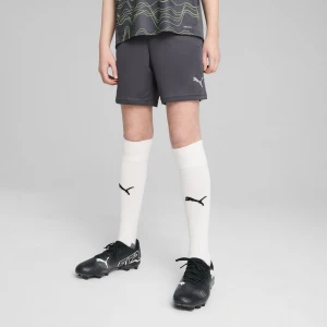 PUMA Młodzieżowe szorty treningowe individualFINAL, Odzież, Szary,