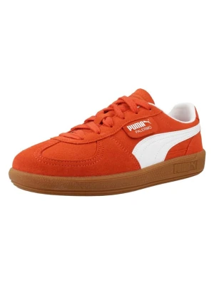 Puma Skórzane sneakersy "Palermo" w kolorze pomarańczowym rozmiar: 37, 5