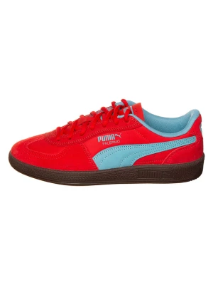Puma Sneakersy "Palermo Pop" w kolorze czerwonym rozmiar: 38, 5