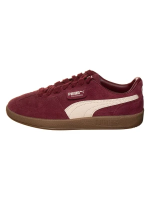 Puma Sneakersy "Palermo" w kolorze czerwonym rozmiar: 40, 5