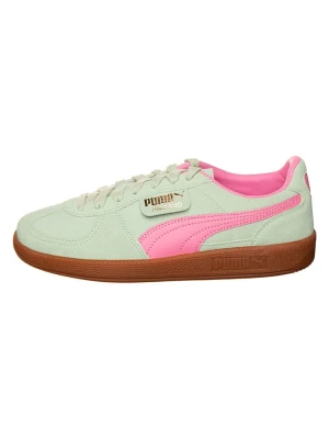 Puma Sneakersy "Palermo" w kolorze zielonym rozmiar: 41