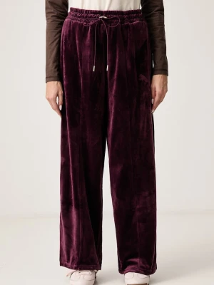 Puma spodnie dresowe damskie welurowe Essentials Elevated bordowy